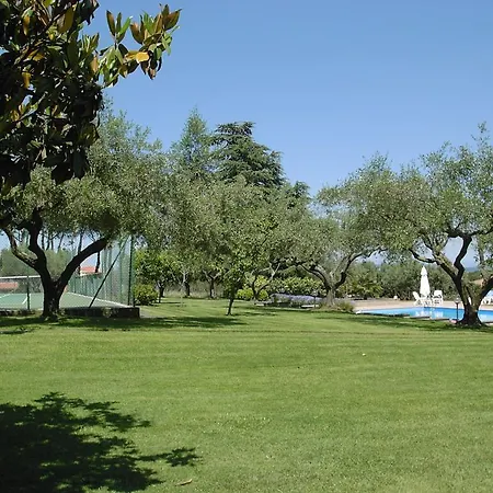 Oliva * Bracciano (Rome)